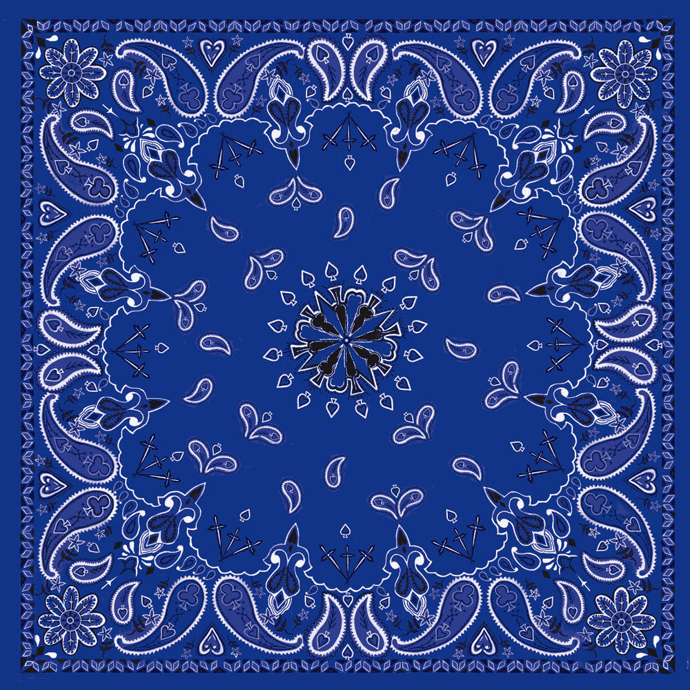 Flydanna bandanna Navy paisley