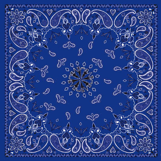 Flydanna bandanna Navy paisley