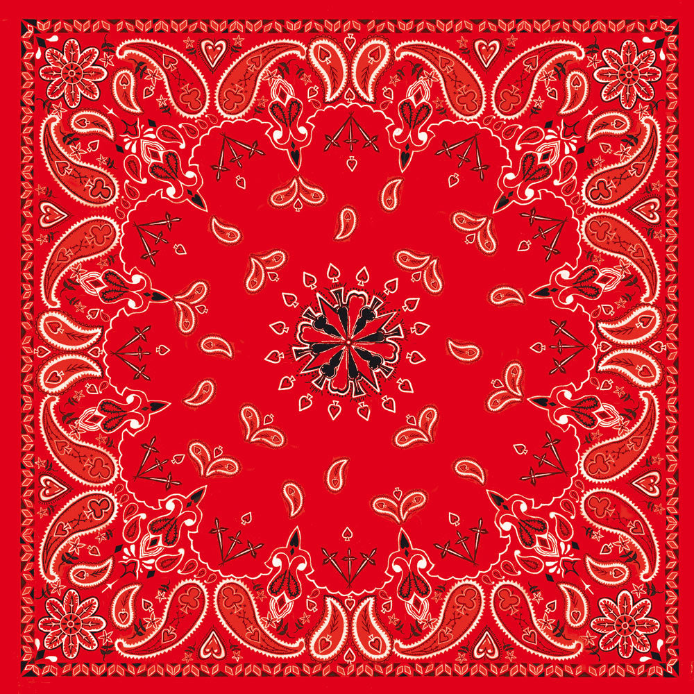 Bandanna Red paisley